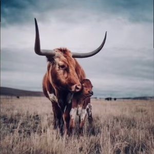 Meet your Posher, Mallory